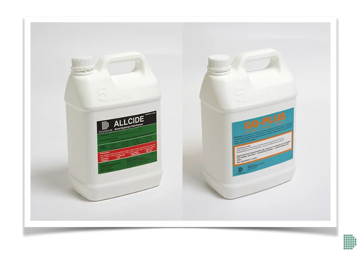 allcide-gq-plus